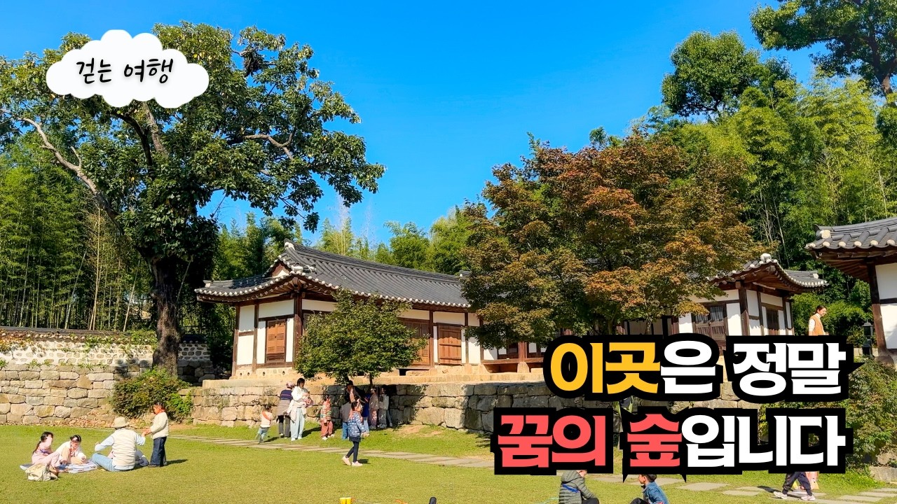 👟 버스정류장 바로 앞! 서울 한복판 20만평에 펼쳐진 가을종합선물세트, 누구나 무료로 이용할 수 있는 꿈의 숲을 만나보세요❤️ | 대중교통여행 | 서울도심힐링여행