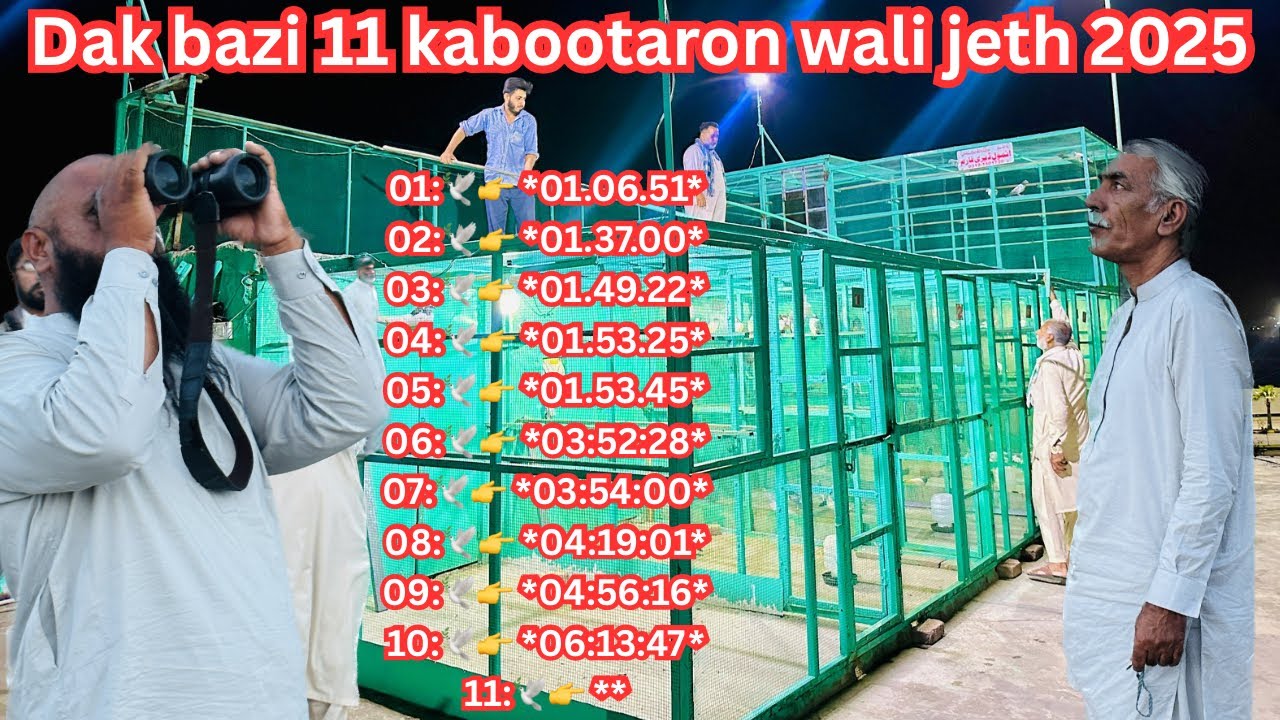 Dak bazi 11 kabootaron wali 11 phirton wali 😱 | Dar pigeons club |