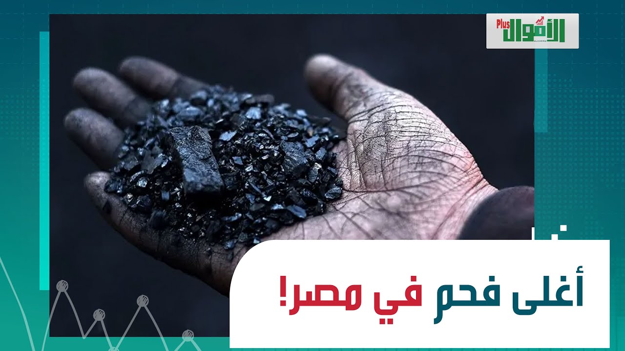 مكسبه 618 ألف في السنة! الفحم المضغوط مشروع لقطة    وهتبيعه بعد شهرين بس
