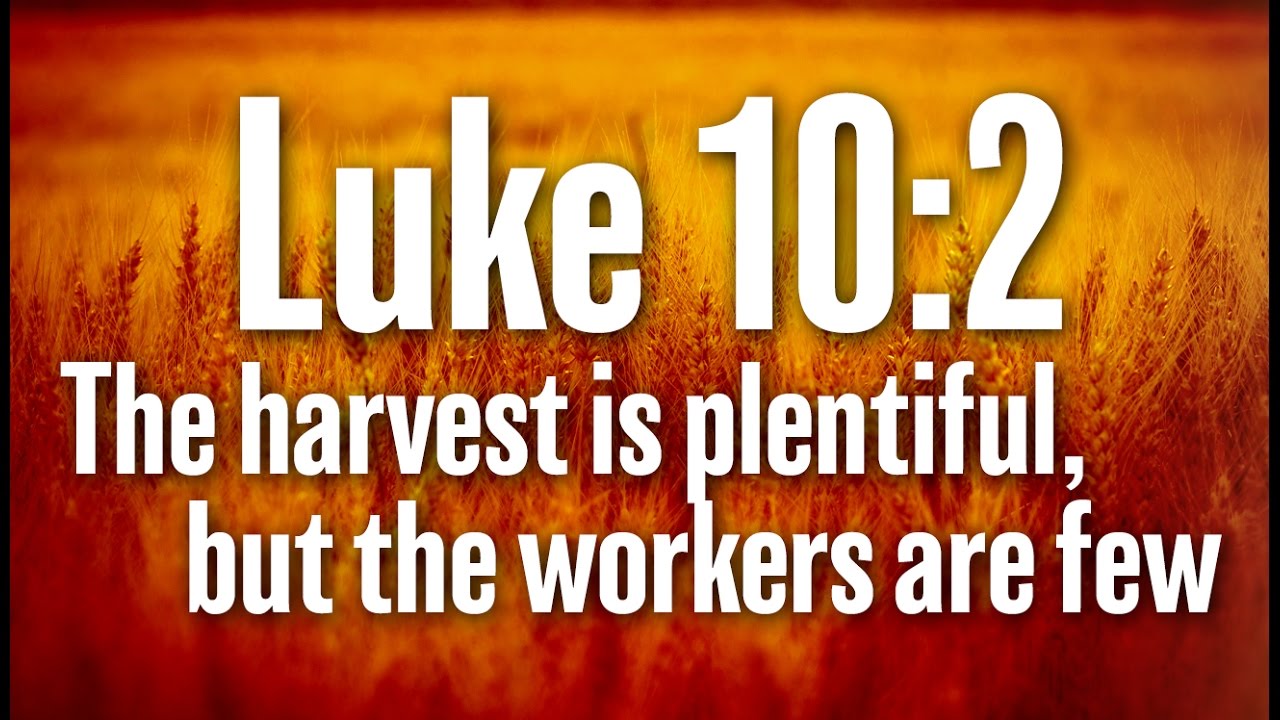 The harvest is plentiful, but the workers are few.