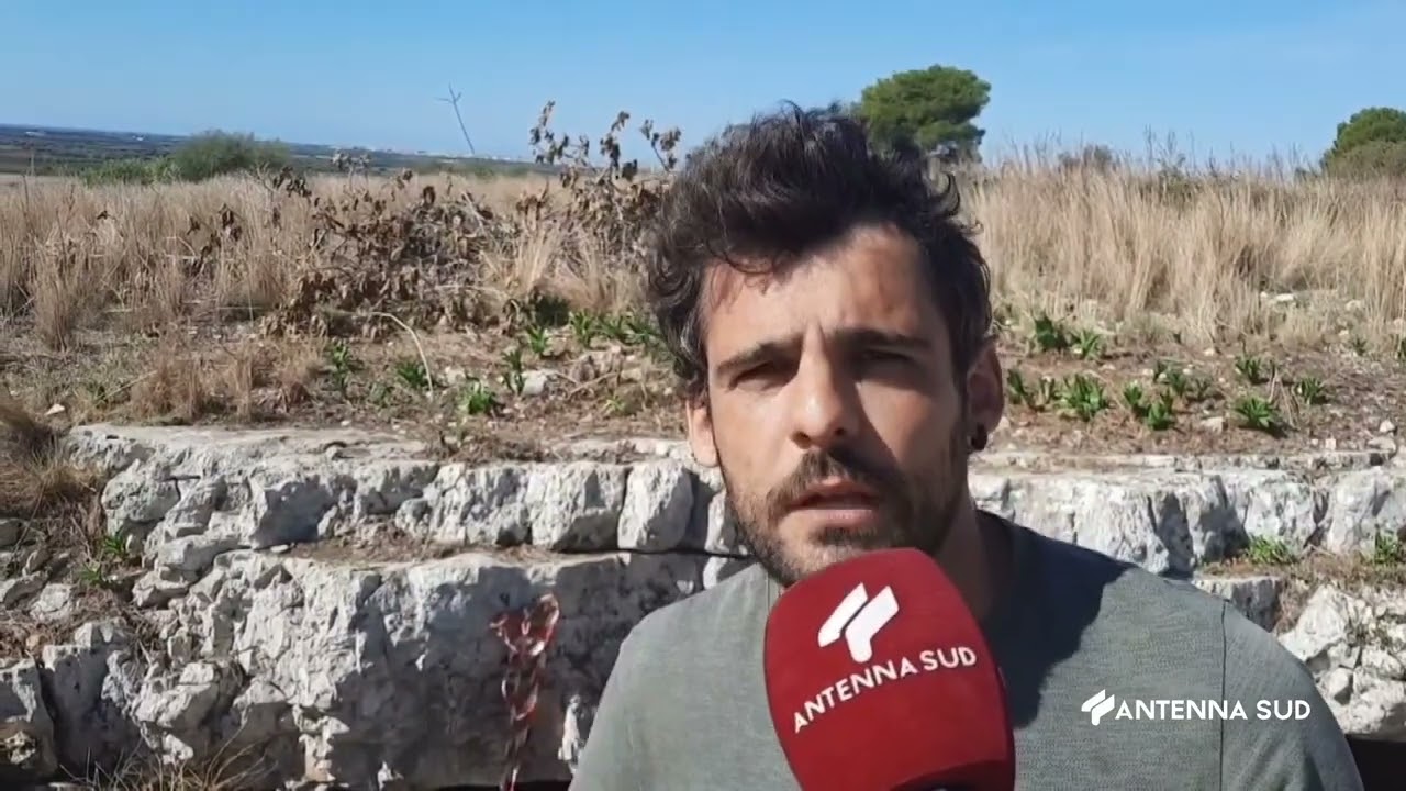 04 Ottobre 2022   Lizzano TA   Uomo di Neanderthal, gli Scavi confermano è stato qui