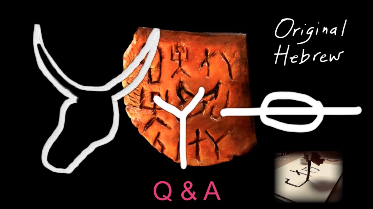 Q&A #2 | Proto-Sinaitic vs. Paleo Hebrew, How We Study Hebrew Online, and more