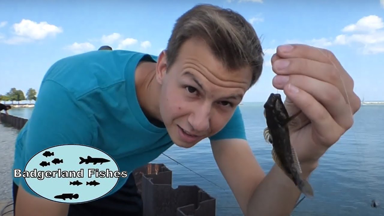Did THIS FISH Ruin the Great Lakes? (Story of the Round Goby)