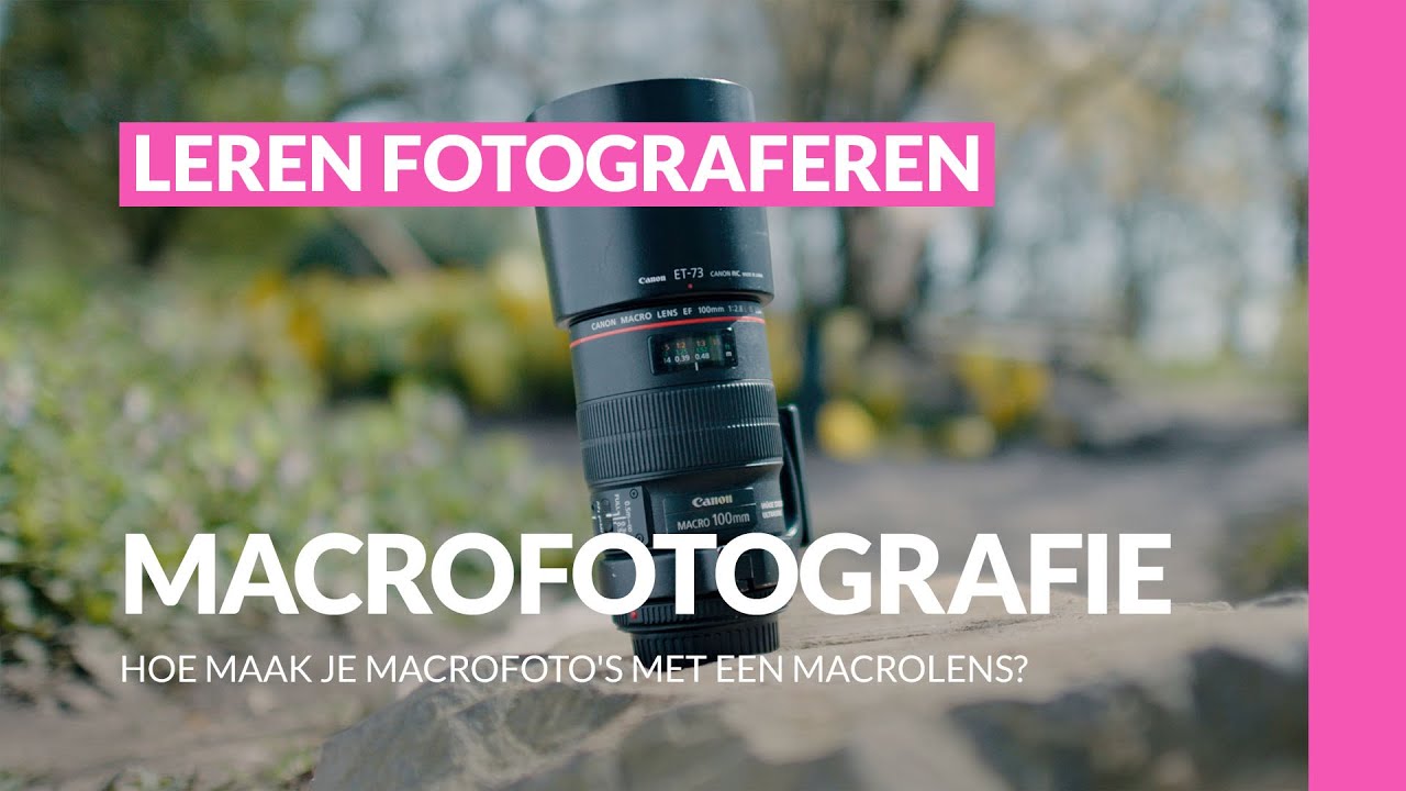 Макрофотосъёмка с помощью макрообъектива | Макрофотография | Учимся фотографировать