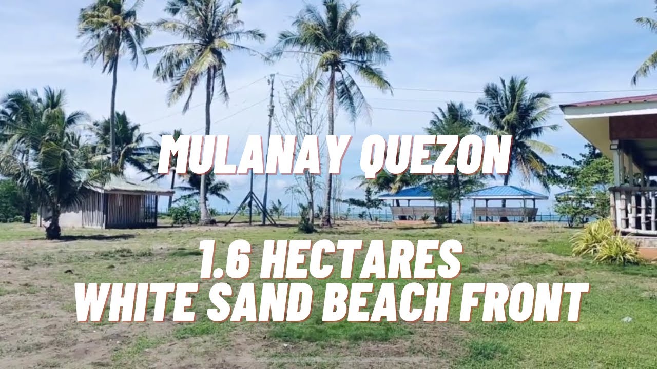 VLOG #62/ MULANAY QUEZON / 1.6 HECTARES WHITE SAND BEACH FRONT!!!