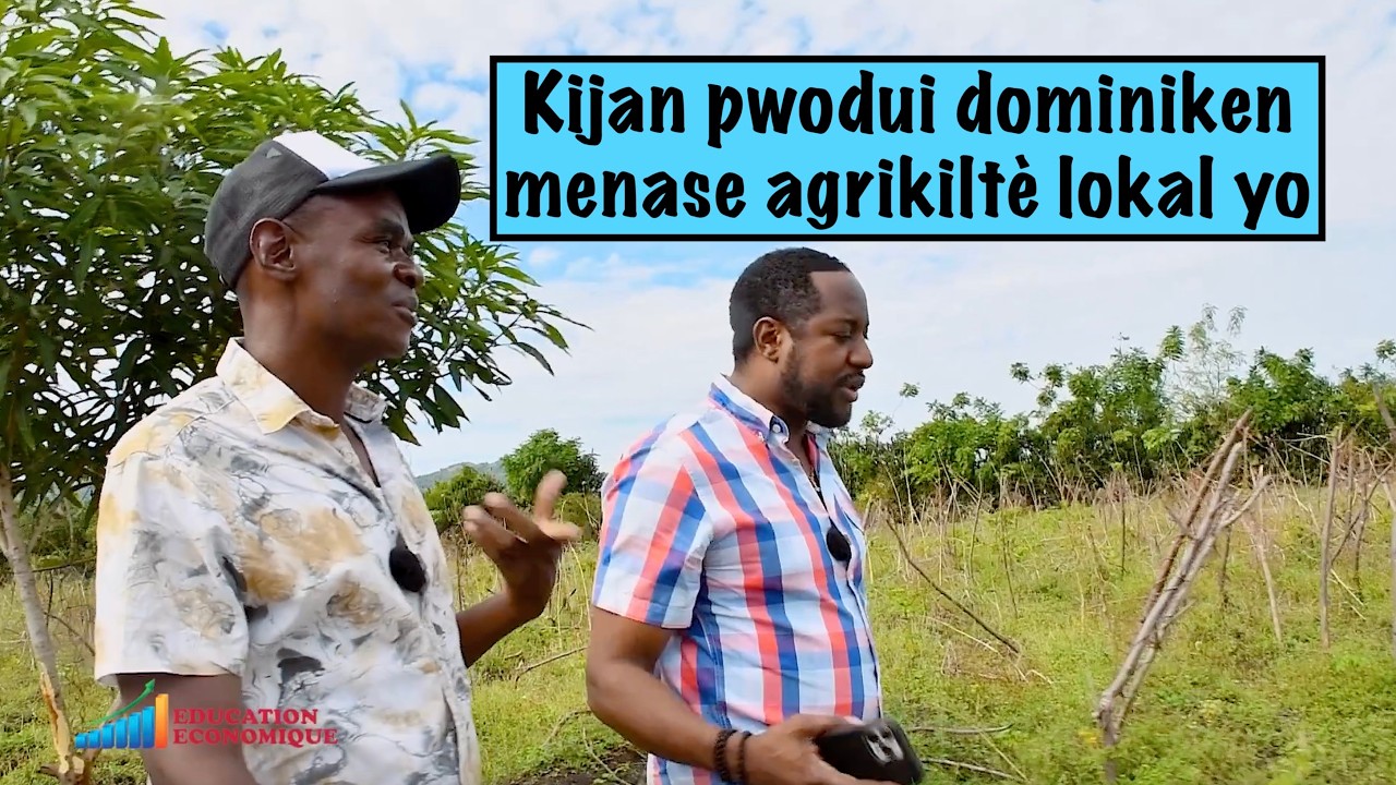 Konpetisyon pwodui dominiken menase agrikiltè lokal yo