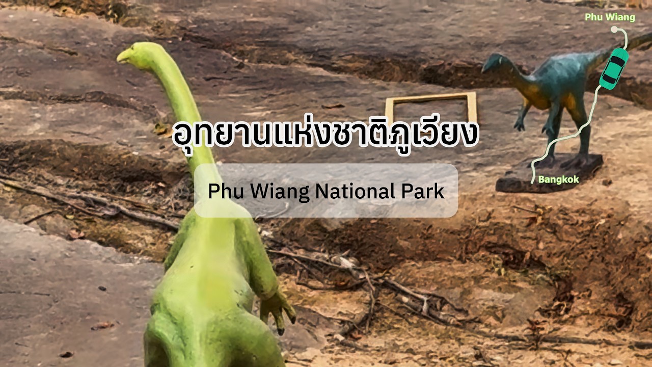 เดินป่าจุดขุดไดโนเสาร์ จุดฝังหูพับ ผาชมตะวัน อช.ภูเวียง (Ep.44, 2026-02-13, Phu Wiang National Park)