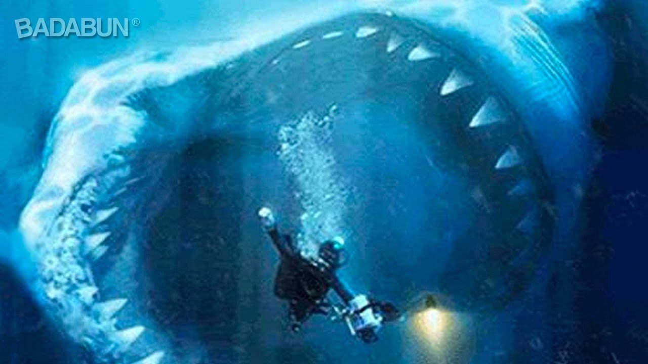 5 Tiburones gigantes captados en c&aacute;mara