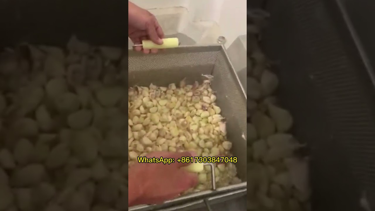 Automatic Food Blancher Blanching Machine In France