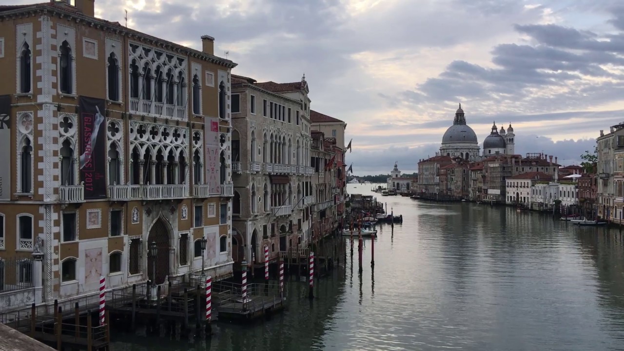 Venezia back from work 2