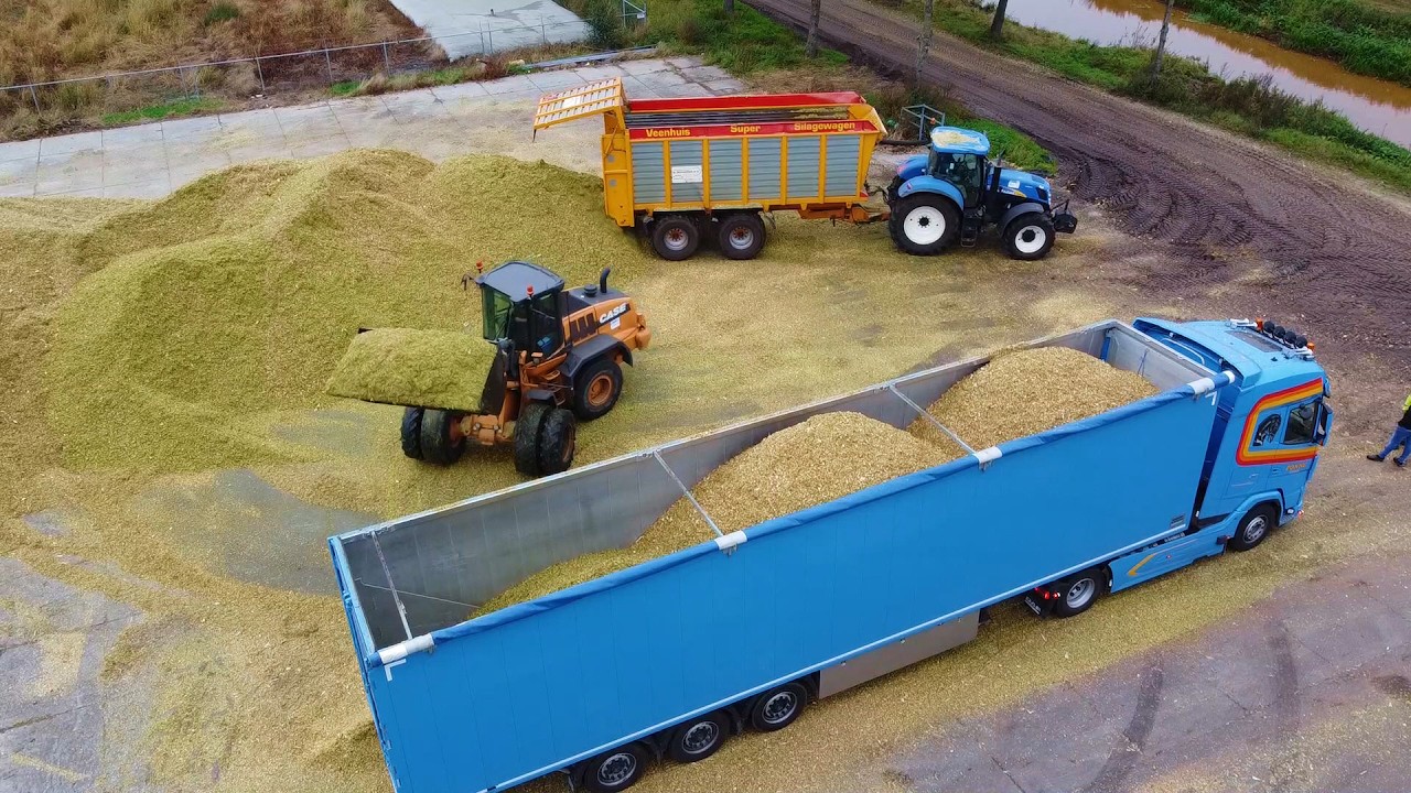2025 Scheper corn silage