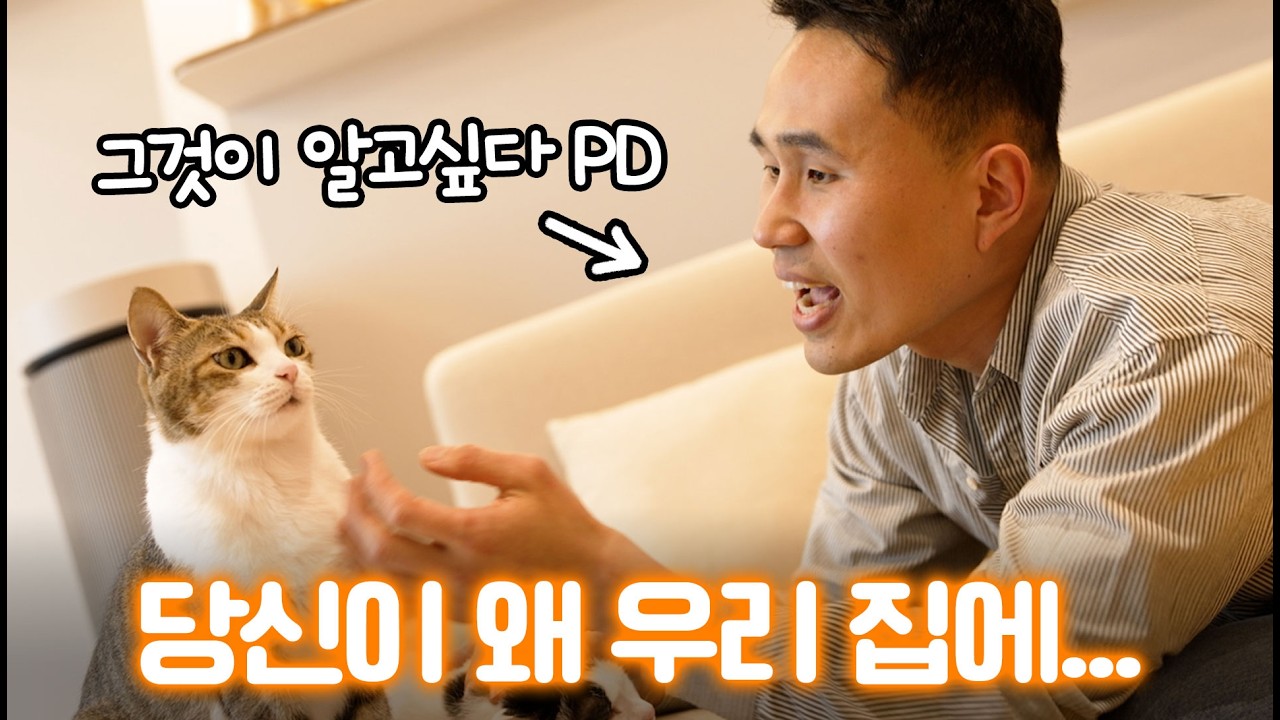 그것이 알고싶다 PD가 고양이를 키우면 벌어지는 일ㅣ고양식탁 도준우 PD 편