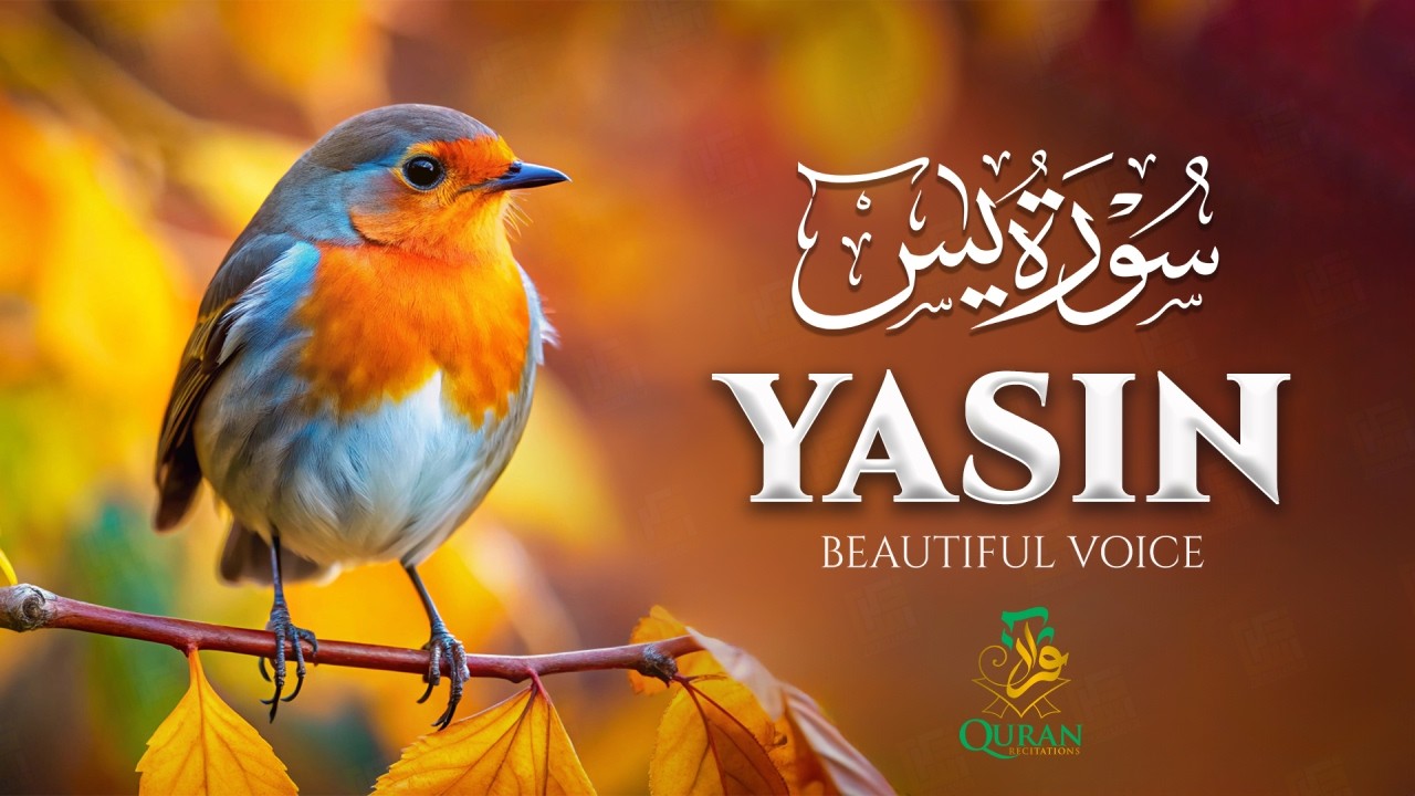 سورة يس 💖 Surah Yaseen | Heart-Touching Quran Recitation | 