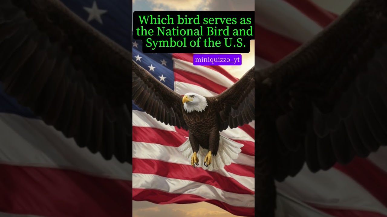 check your answer in comment box 🎁 