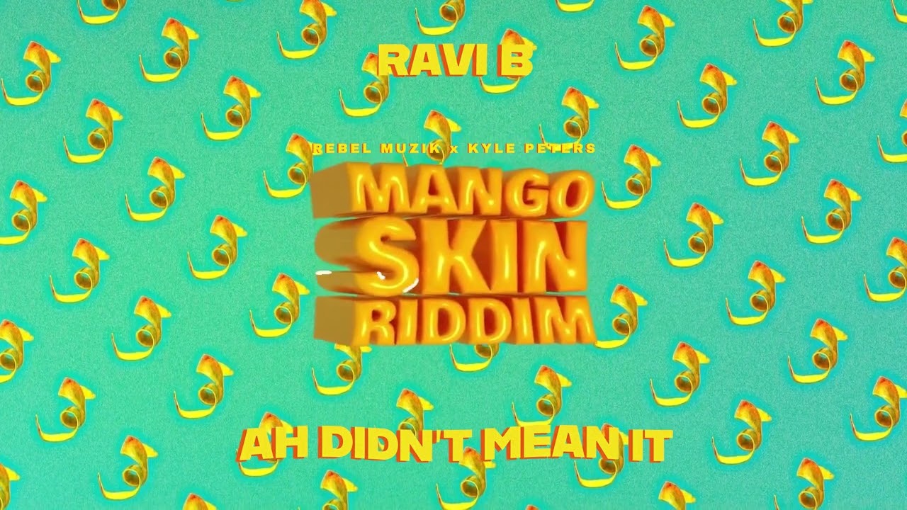 Ravi B - Ah Didn't Mean It (Mango Skin Riddim)