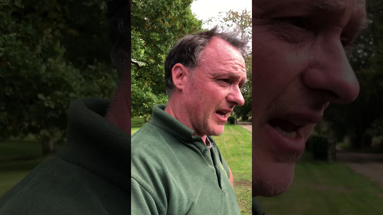 Iseki 216 review after 500+ hrs