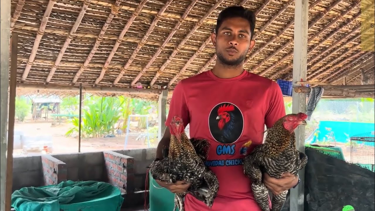 GMS peruvidai Farm Full video 🔥🔥Peruvidai