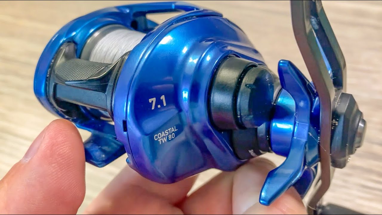 Daiwa Coastal TW 80 H Baitcasting Reel Review: Legit or Loser?