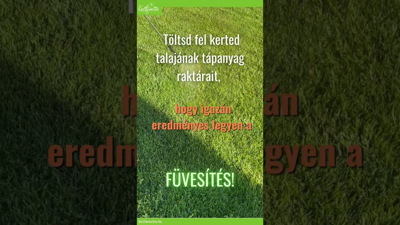 Ne csak a fűmagra figyelj! #humingarden