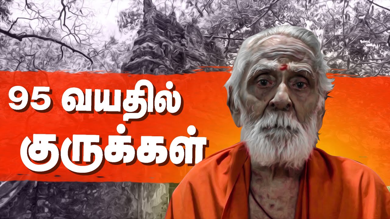 95 வயதில் குருக்கள் | Keerimalai | Keerimalai Naguleswaram Kovil