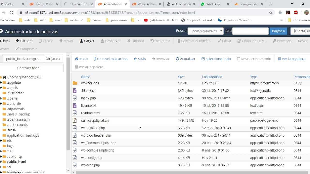 Duplicar un sitio en Cpanel (godaddy.com)