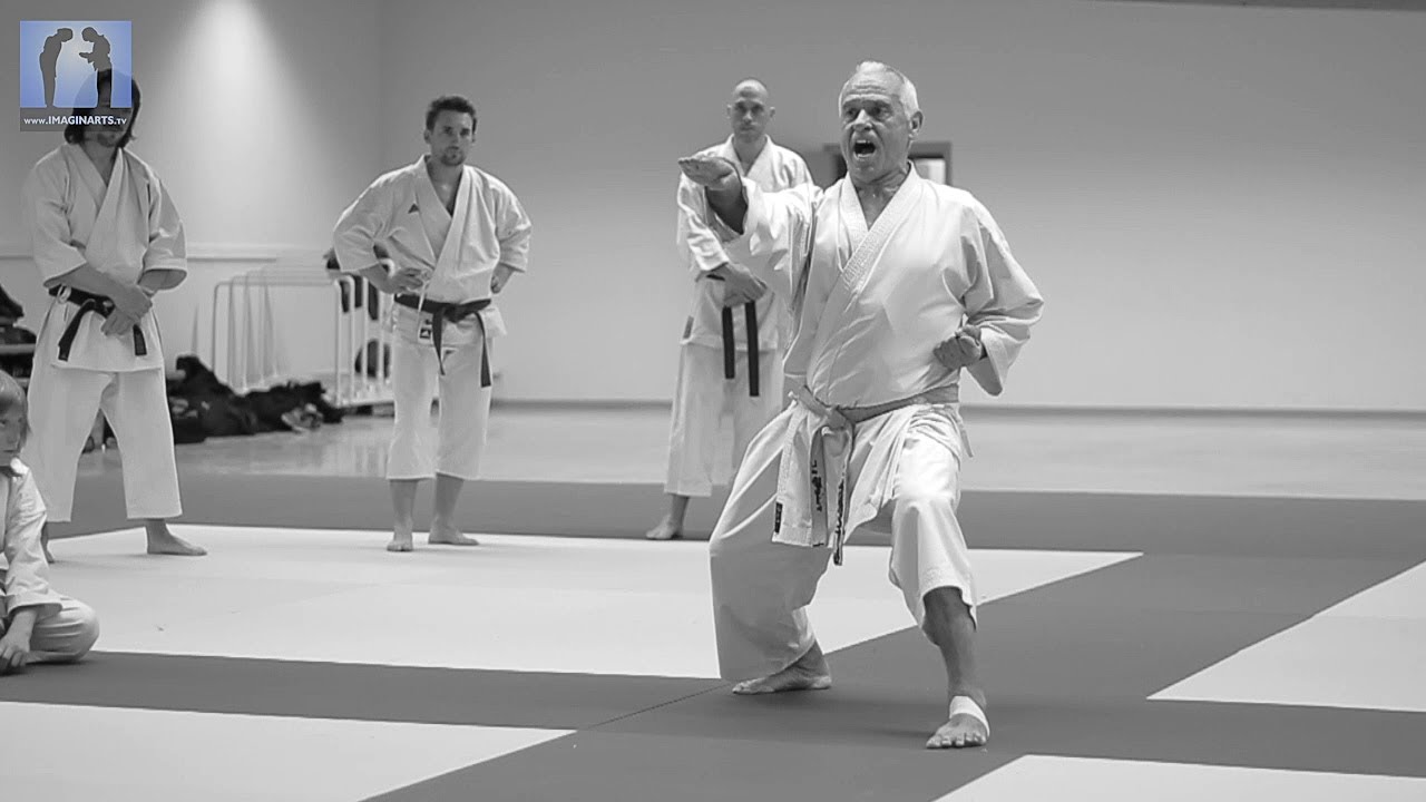 Etre un leader ? Jean-Pierre Lavorato - KARATE