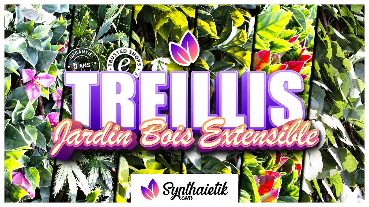 OCCULTANT ou BRISE VUE, Treillis Extensibles en Bois pour Jardin