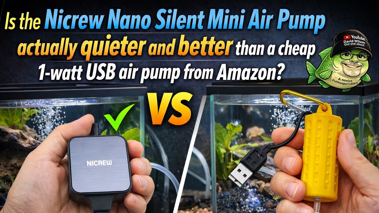 Действительно ли мини-воздушный насос Nicrew Nano Silent тише и лучше, чем дешевый USB-насос мощн...