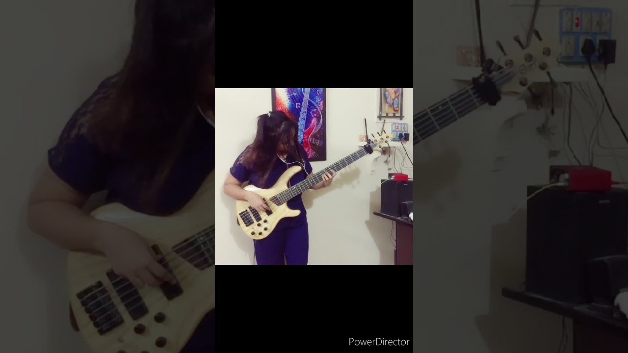 Nebula- Gru (Bass Cover)