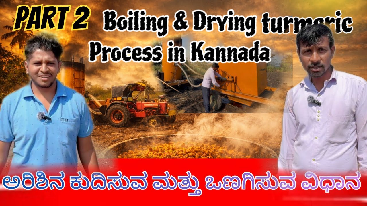 PART 2 ಅರಿಶಿನ ಕುದಿಸುವ ಮತ್ತು ಒಣಗಿಸುವ ವಿಧಾನ | Boiling & Drying Process Kannada Vlog