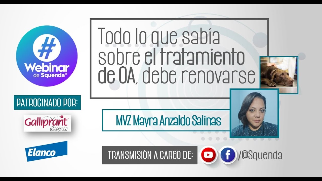Todo lo que sabía sobre el tratamiento de OA, debe renovarse - MVZ Mayra Anzaldo Salinas