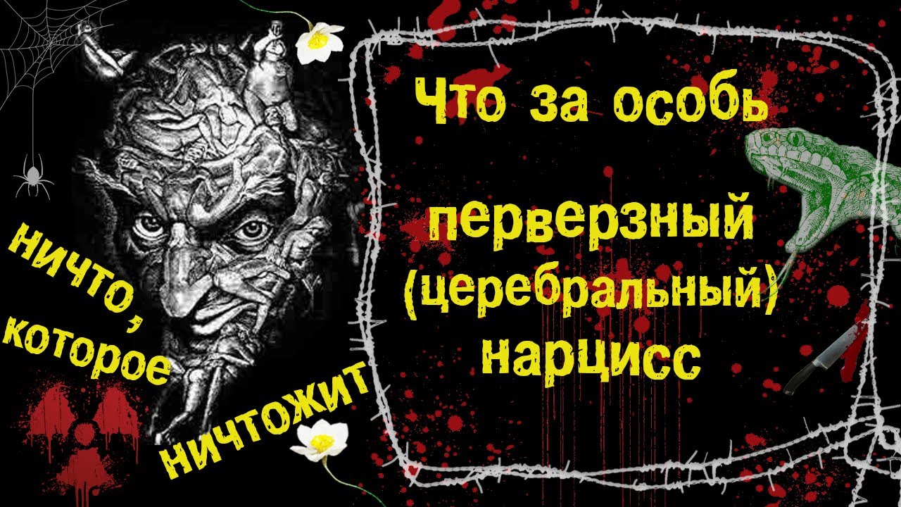 Что за особь перверзный (злокачественный, церебральный) нарцисс