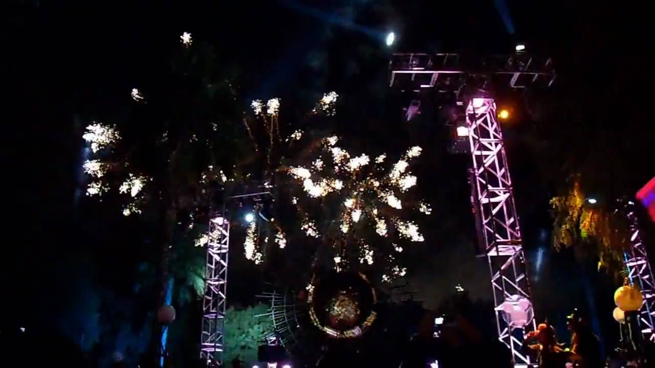 Disney's California Adventure New Years Eve 2009 to 2010 Fireworks