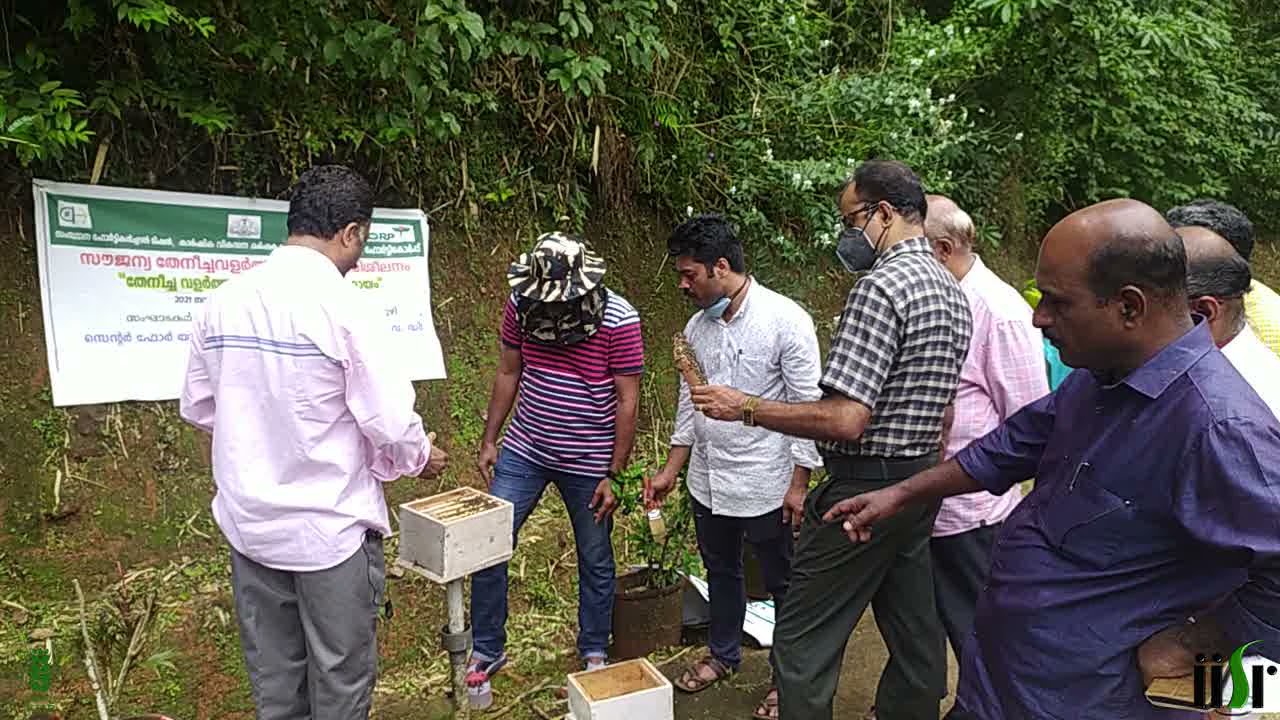 തേനീച്ച കോളനികളുടെ പരിപാലനം
