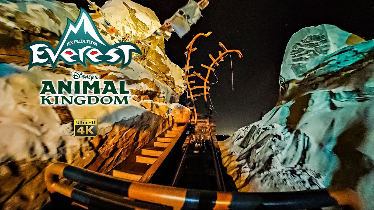 Expedition Everest at Night On Ride Front Seat Low Light 4K POV Disney's Animal Kingdom 2025 01 01