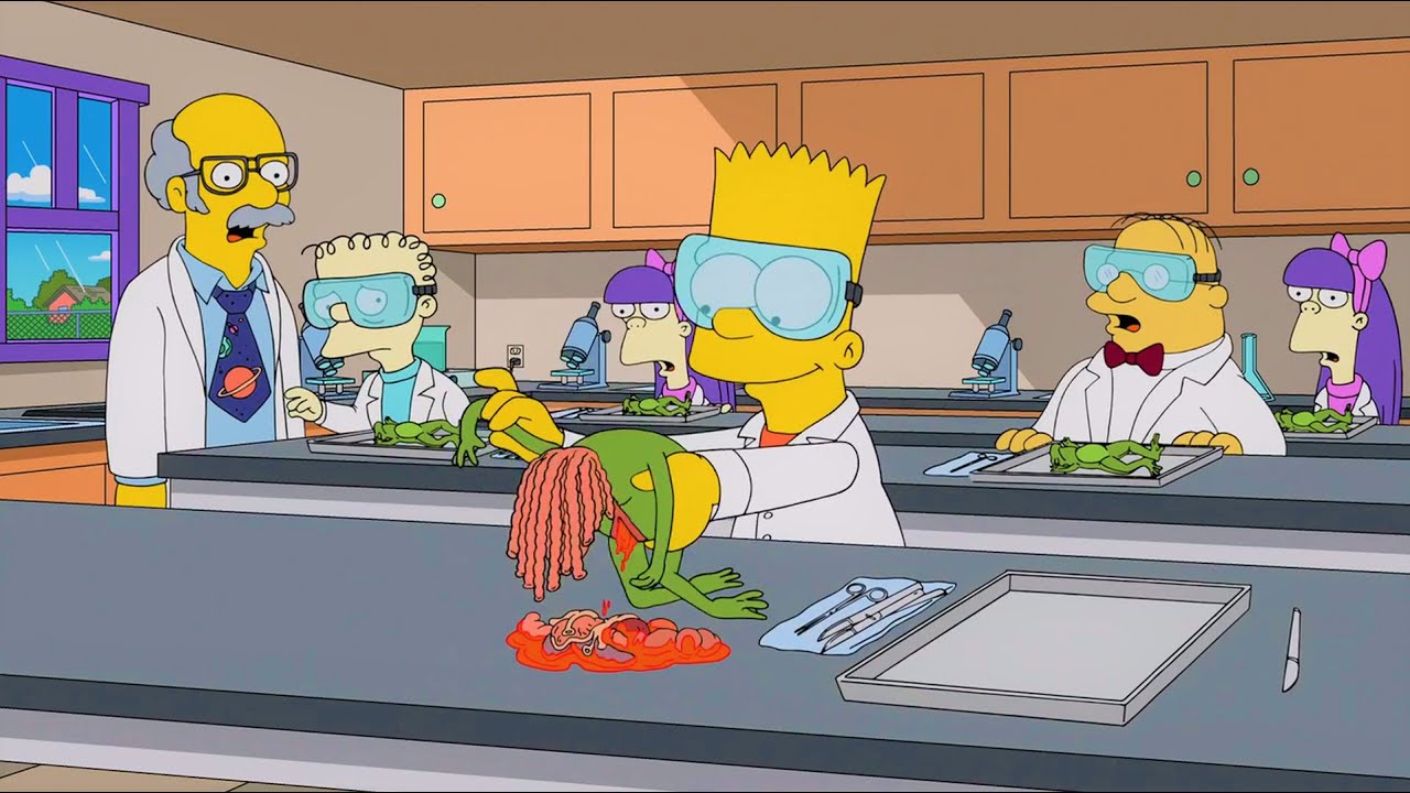 El experimento de Bart - LOS SIMPSON CAPITULOS COMPLETOS