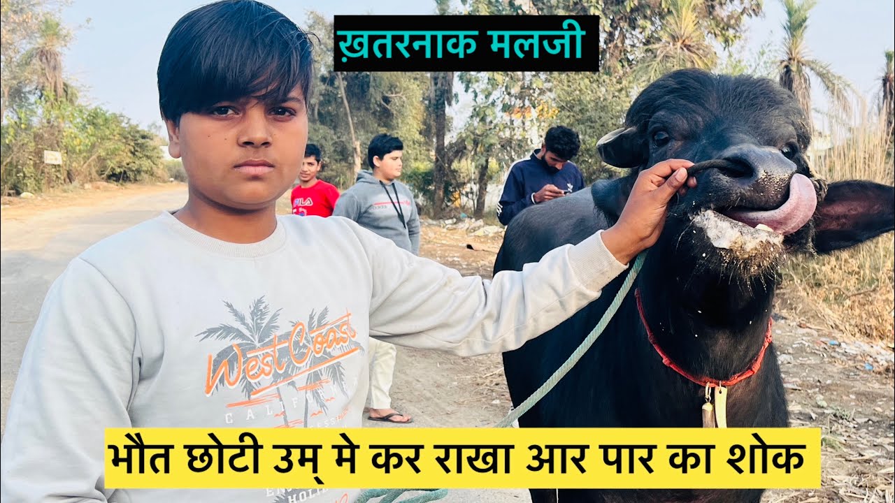 नाम प्रतीक गाव झुनझुनी छोटी उर्म में बड़ा शोक कर राखा भाई ने मलजी का तोड़ ना 