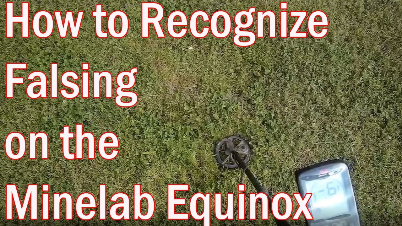 Recognizing falsing on the Minelab Equinox (#91)