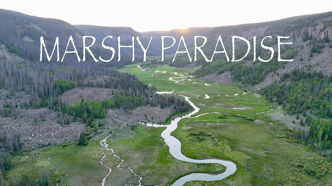 MARSHY PARADISE: Exploring one of Colorado's most unique fisheries