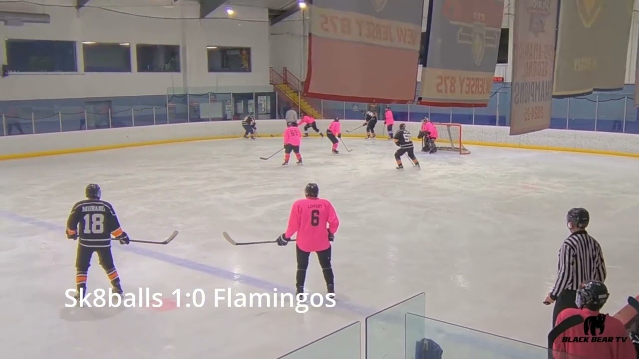 2026.02.02 Sk8balls vs Flamingos
