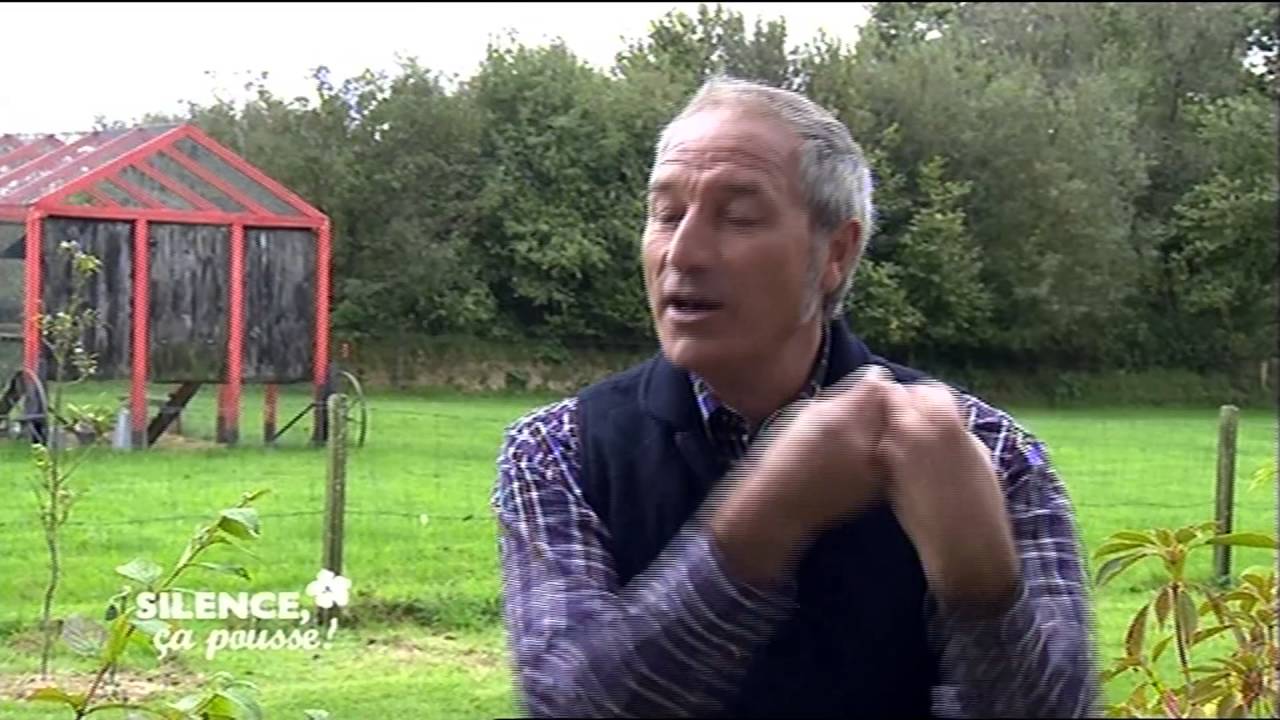 Comment planter un heptacodium miconioides - Silence, ça pousse !