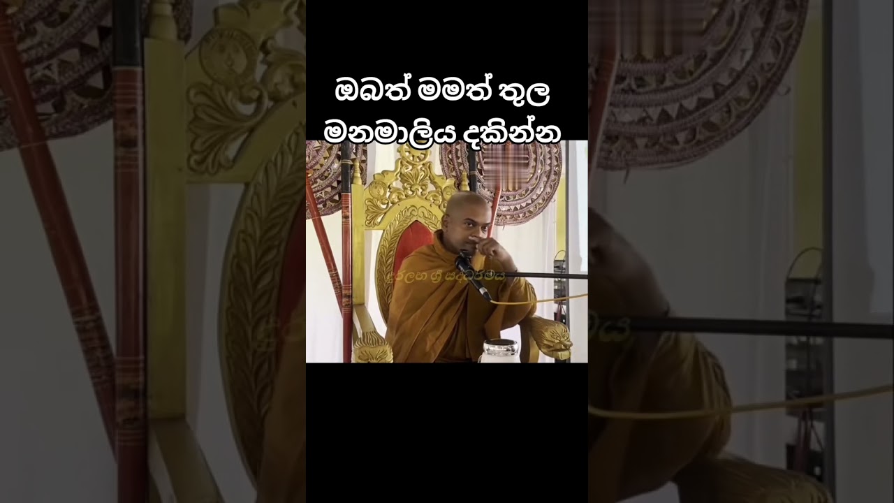 මුලාවෙන් මිදෙන්න නම් සත්‍යය දැකගෙන,සත්‍යය සත්‍යය විදියට පිළිගැනීමට අවශ්‍යයී.මේ ඇත්ත දකින්න🫴☸️🧠
