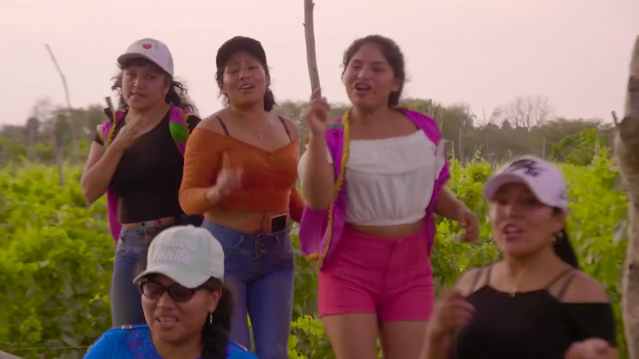CARIÑOSITOS DE HUAMBO - DISCULPA POR LLAMARTE
