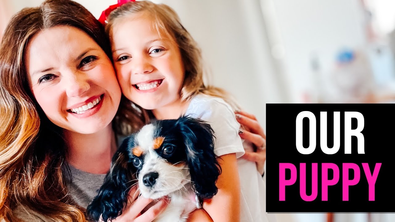 The Story of our Puppy