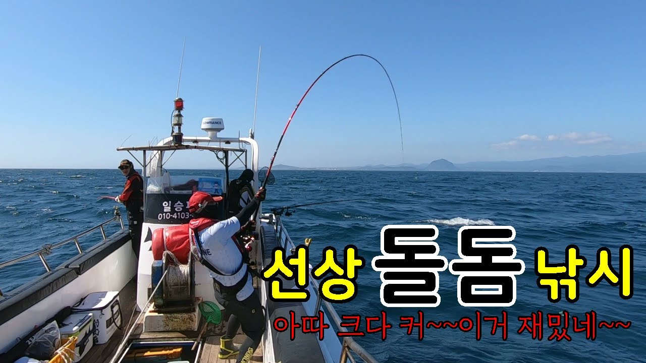 선상돌돔낚시에서 만나는 대물 돌돔의 힘에 심장이 두근두근