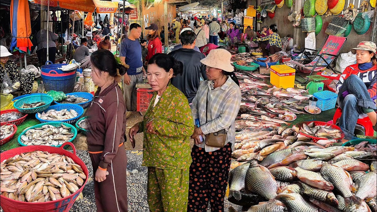 Come and see the Khmer market, full of large natural fish.