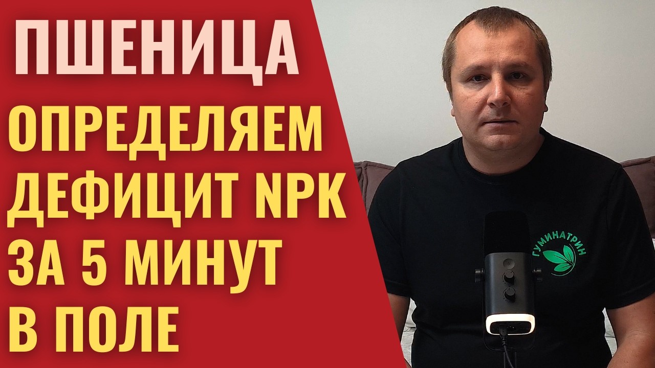 ПШЕНИЦА. Дефицит Макро и Мезо элементов. Визуальные признаки.