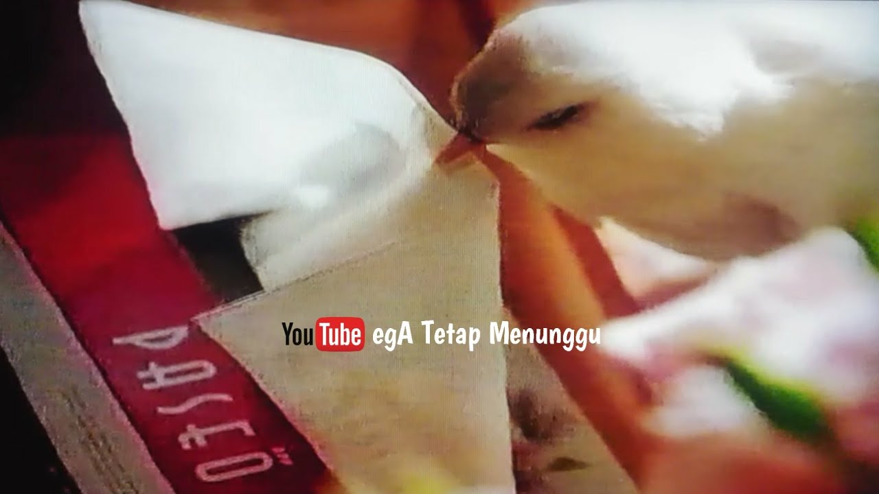 iklan tissue PASEO
