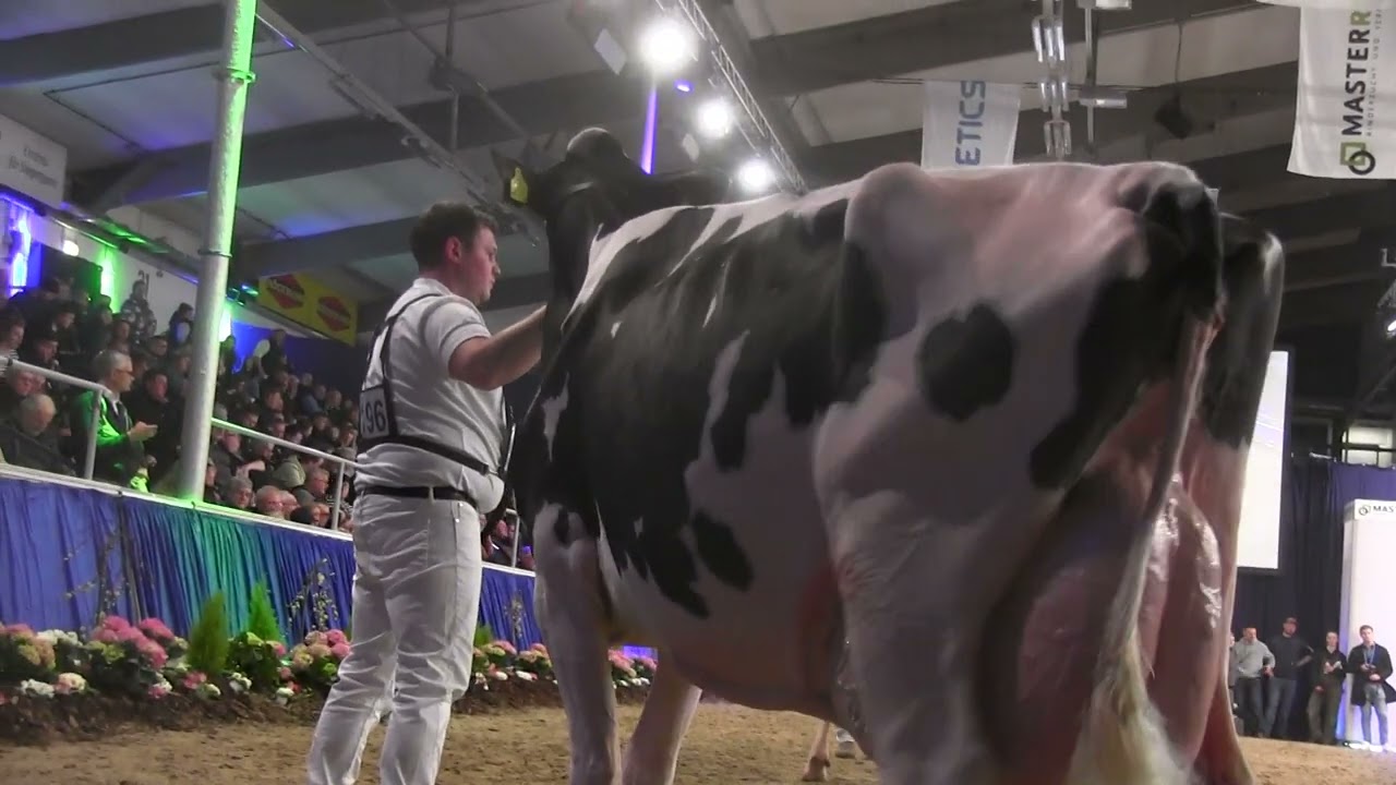 SCHAU DER BESTEN 2024: Videos von CATTLE.de - Teil 27