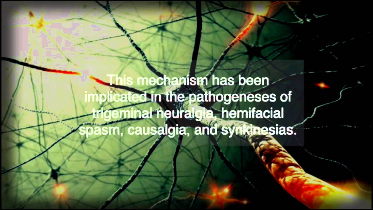 Lars Leksell - AANS History Films